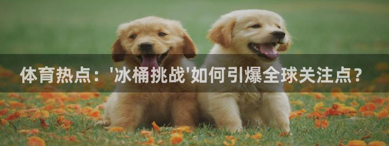 体育热点：\'冰桶挑战\'如何引爆全球关注点？