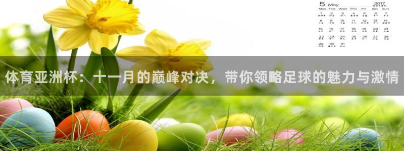 体育亚洲杯：十一月的巅峰对决，带你领略足球的魅力与激情