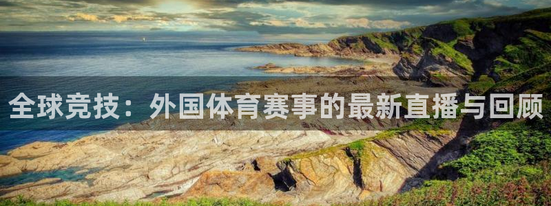 全球竞技：外国体育赛事的最新直播与回顾